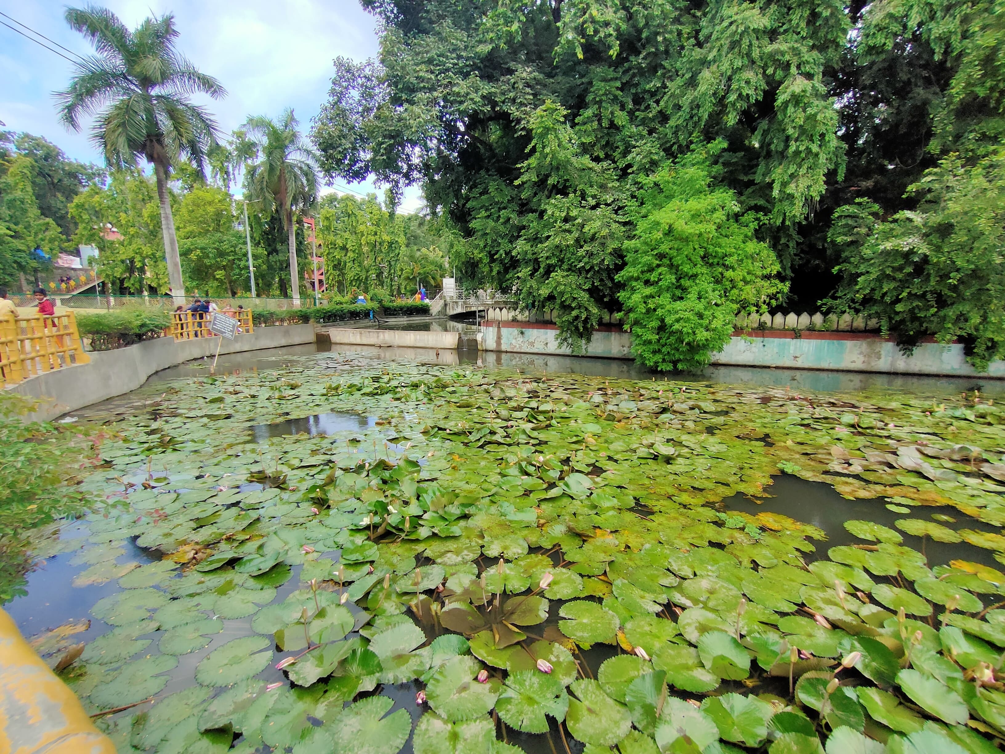 Image of Saras Baug